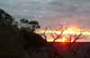 Sunset of the Canyon.