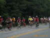 Some of our Catz on the road.